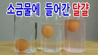 35 소금물로 만드는 달걀 도레미 157