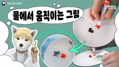 물에서 움직이는 그림│Fun! Fun! 과학실험_국립어린이과학관