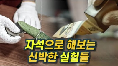 신비한 자석실험 / YTN 사이언스